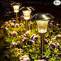 GIGALUMI Solar Pathway Lights, 8 Pack Solar Light Outdoor Waterproof, Glass Stainless Steel Automatic Solar Landscape Lights for Patio, Yard, Lawn, Driveway, Walkway (Warm White)