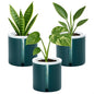 D'vine Dev 4 Inch Design Self Watering Planter for Indoor Plants, White Terracotta Pot with Teal Cylinder Glass Cup, Set of 3,37-Z-A-5-T