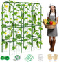 65in Tall Cucumber Trellis for Raised Bed, 50" L x 65" H Metal Garden Trellis for Climbing Plants Outdoor, U-Shape Vegetables Trellis Support for Squash Zucchini Peas Grape
