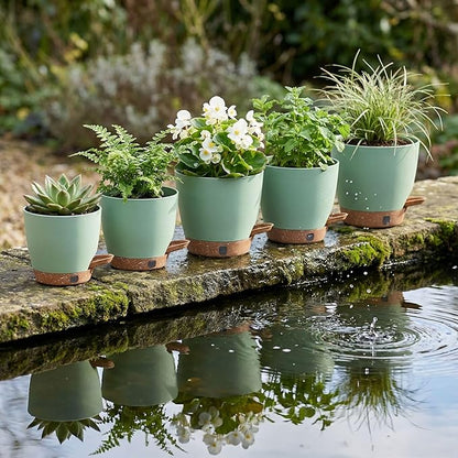 montresor 5 Pack Green 5/5.5/6/6.5/7 Inch Self Watering Planters for Outdoor, Plastic Plant Pots with Wick & Drainage, Small to Medium Indoor Pots for Snake Plant, Aloe