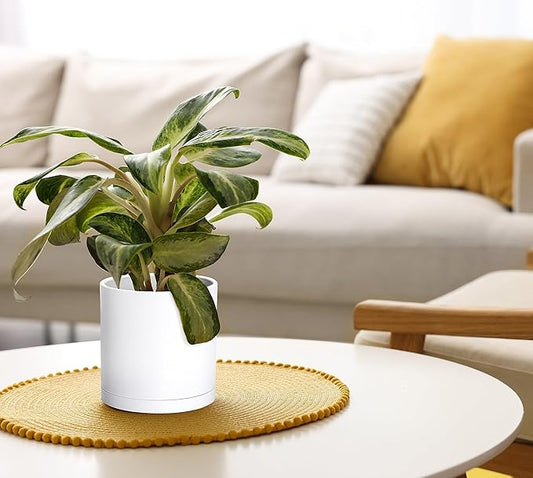 Planter Pots, Set of 2 Matte White Plastic with 6-Inch Modern Design