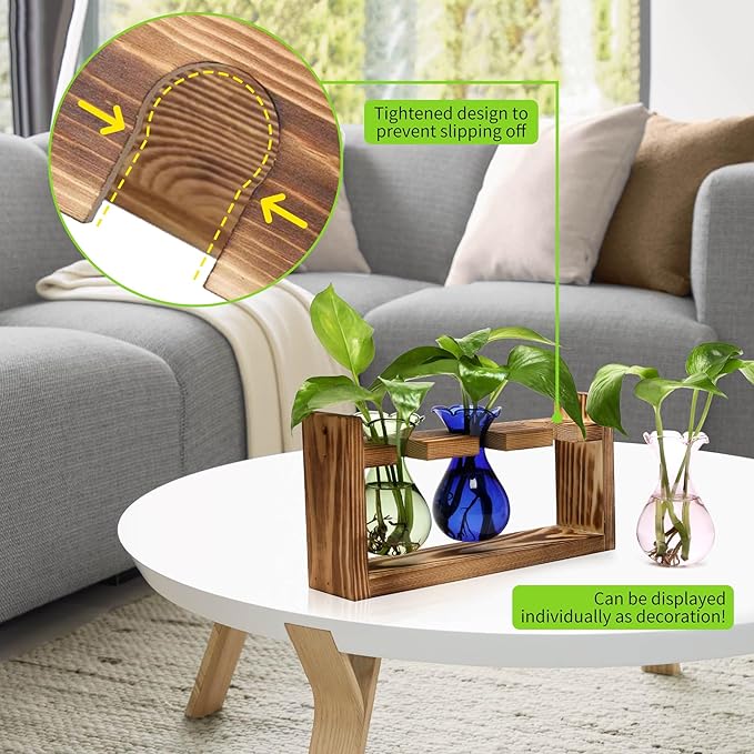 Terrarium Propagation Station with Three Glass Bulbs and Wooden Stand