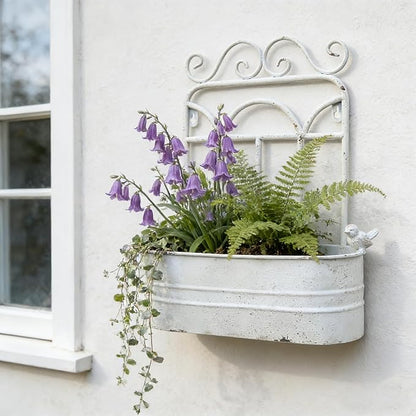 Rustic Metal Wall Planter Vintage Wall Mounted Flower Pot Distressed Wall Hanging Plant Basket Farmhouse Wall Decor for Indoor Outdoor Garden Home Yard (White)