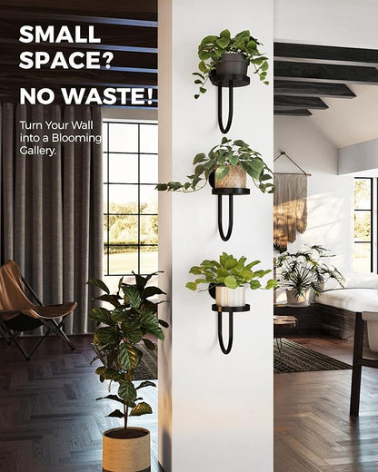 Bamworld Hanging Planters for Indoor Plants Wall Plant Holder Plant Hanger Indoor Wall Planters Window Plant Shelves Hanging Plant Holder Window Plant Hanger Plant Decor Black 3pcs