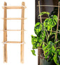 Avalution 10 Pack Natural Bamboo Trellis for Climbing Plants 16" Outdoor Garden Ladder Trellis, Fan -Shaped Plant Support Trellis for Potted Plant
