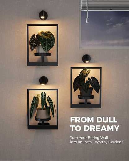 Bamworld Hanging Planters for Indoor Plants Wall Decor Living Room Plant Stand Indoor Wall Planters Plant Hanger Window Plant Shelves 3-Packs with Lights