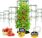 Tomato Cage Square - Large Trellis Stakes and Plant Support Structures for Vegetables and Climbing Plants - Tall Tomato Cages for Garden, Pots, Raised Garden Bed Outdoor Supplies (6 Pack - Up to 41")
