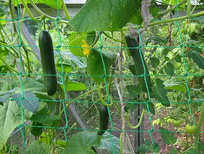 Trellis Netting for Climbing Plants - Heavy Duty Garden Trellis Netting for Cucumber, Vine, Fruits & Vegetables Tomato Plants Trellis Net, Climbing Vining Plants (1-Pack 3.3' x 6.6'Ft)