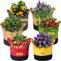 Grow Bags 5 Gallon,6 Pack Fabric Plant Pots with Handles Planter Bag for Outdoor Garden Planting Vegetables Flowers Fruit