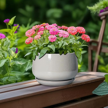 G EPGardening Ceramic Pots for Plants - 6 Inch Plant Pot with Drainage and Ceramic Tray, Modern Succulent Pots, Round Planters for Indoor Plants, Living Room Decor, Gifts for Plant Lovers, Light Grey