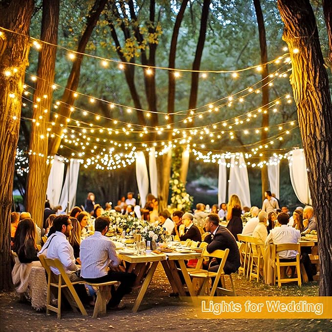 String Lights, 1000 Warm White LEDs, 272 Ft with Remote and 8 Modes