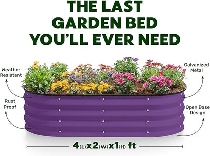 Plant & Plot Galvanized Raised Garden Beds Outdoor // 4×2×1 ft (2-Pack) Planter Raised Beds for Gardening, Vegetables, Flowers (Purple) // Large Metal Garden Box