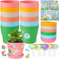 Durable Resin Garden Pot Craft Kit for Kids- 24 Pack Colorful Flower Plant Spring Crafts with Super-adhesive Stickers & Blank Labels School Activities Growing Kit for Classroom Home DIY Gift 4+ years