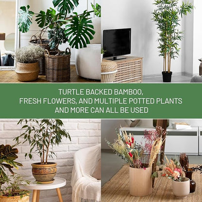 4PCS Green Iron Monstera Support, Uniquely Designed Plant Support Stakes for Indoor Plants, Stable Plant Stakes and Supports, Turtle Shell Bamboo Clamp Set for Thriving Growth