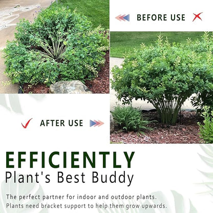 6 Pack Plant Support Stakes, 15.8" Half Round Metal Garden Plant Supports for Indoor Plants, Green Plant Cage Ring for Monstera, Peony, Hydrangea, Potted Plant Holder Sticks (10" Wide)