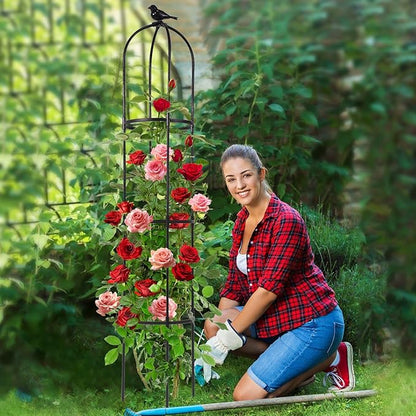 Lalahoni Garden Obelisk Trellis for Climbing Plants Outdoor, 6ft Round Rose Trellis for Pots, Metal Plant Support for Clematis, Jasmine, Ivy, Decorative Outdoor Trellis, Black, 2Pack