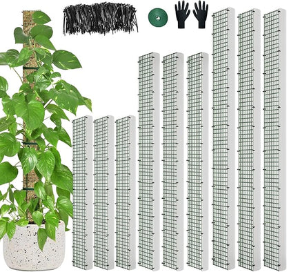 60"/40"/24" Metal Moss Pole, D Shape Sphagnum Moss Pole, Moss Poles for Climbing Plants, Monstera, Indoor Climbing Plants (3 Each of 60" 40" 24")