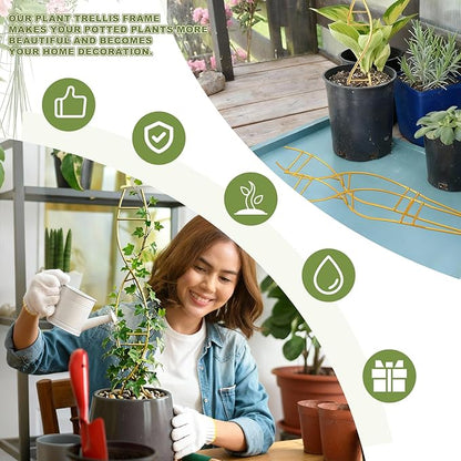 3 Pcs 15.75 Inch Indoor Plant Trellis for Potted Plants Small Climbing Plant Trellis for Pots with Unique DNA Spiral Design for Vine Plants, Easy Installation for Indoor Outdoor Use