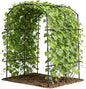 DoCred Tall Garden Arch Trellis for Climbing Plants, 87in Tall Metal Plant Support Trellis Archway for Climbing Vine Vegetable/Fruit/Flower Outdoor Yard Lawn Garden Arch Tunnel Trellis