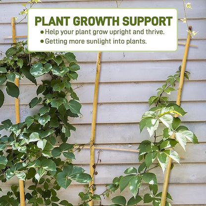 Avalution 10 Pack Bamboo Trellis for Climbing Plants, 2 FT Garden Ladder Trellis for Potted Plants Indoor, Fan-Shaped Small Plant Support Trellis for Houseplants Ivy Hoya Vine Monstera
