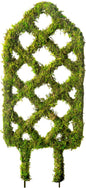 SuperMoss Plant Trellis - Decorative Garden Trellis for Climbing Plants Indoor & Outdoor | Moss-Covered Plant Support for Raised Garden Bed, Patio, Planters, and Garden Decor, Mini 17" X 6.5", Diamond