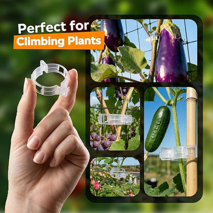 100pcs Tomato Clips for Climbing plants, Plastic Trellis Plant Support Clips for Garden, Reusable Clips for Supporting Grape Tomato Vine and Vegetables Plants to Grow Upright Makes Plants Healthier