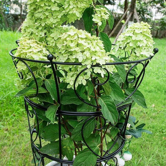 Trellis Peony Cage Obelisk, Black Metal, 24.6 x 17 Inches