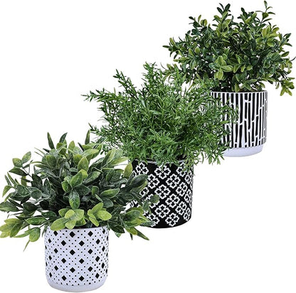 Winlyn 3-Pack Artificial Potted Plants - Faux Eucalyptus, Rosemary, Boxwood Greenery in Small Black & White Geometric Concrete Pots -Desk, Table, Shelf, Windowsill Decor for Indoor Outdoor Home Office