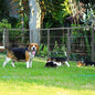 Decorative Garden Fence, 32in x 18.2ft Silver Metal Pet Barrier