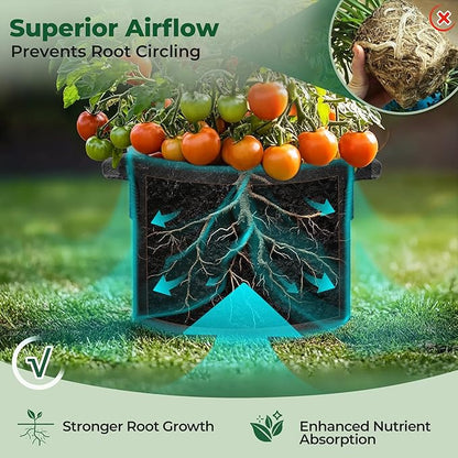 T4U 3 Gallon Grow Bags, Upgrade Grow Bags with Handles, Heavy Duty Thickened Nonwoven Fabric Pots, 3 Gallon Pots for Plants, Rosemary, Chamomile, Onion (10 Pack)