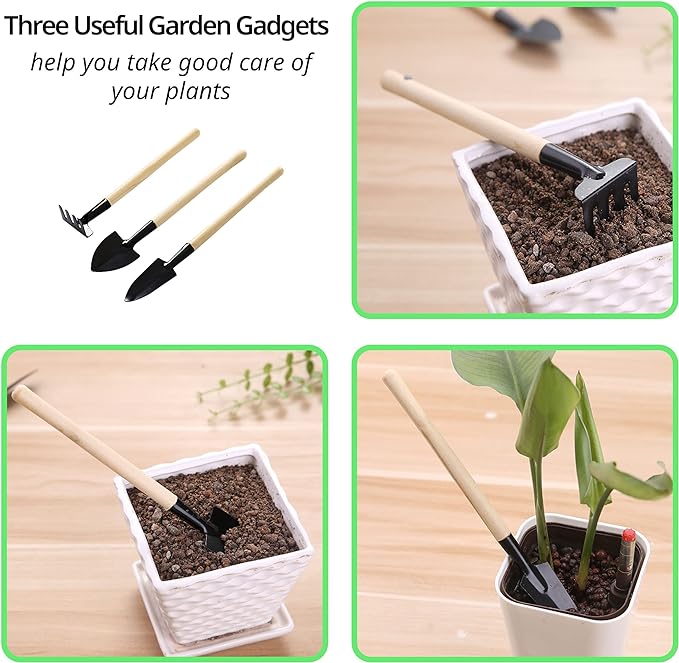 Plant Saucer, 7 Pack 8 10 12 14 15 Inch Durable Plastic Plant Trays for Pots, White & Black Round Plant Pot Saucers, Drip Tray for Indoor and Outdoor Garden (8", for 5 6 Inch Pot)