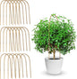 Coloch 20 Pack Bamboo U Trellis Support, 16 Inch U Loop Plant Stake Arch Garden Trellis for Potted Plants, Climbing Flowers and Vines, Ivy, Outdoor Planting