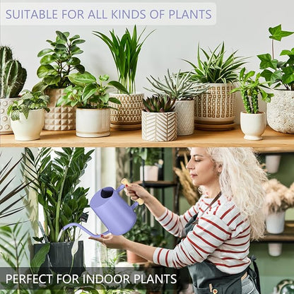 Watering Can Indoor Plants, 35oz Small Stainless Steel Metal Watering Can Modern Decorative Watering Pot with Long Spout for Indoor House Plant Bonsai Garden Flowers (Purple)