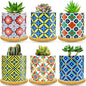 6 Pack Succulent Pots with Drainage Hole, 3 inch Ceramic Succulent Planter with Bamboo Tray, Bright Color Succulent Plant Pots for Cacti Succulent Soil Potting Mix Indoor/Outdoor