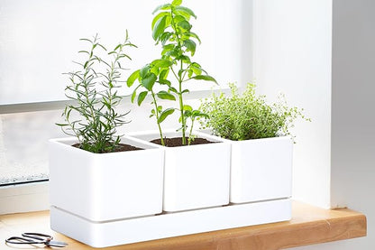 D'vine Dev Herb Garden Planter Set, Plastic Plant Pots with Drainage and Saucer, Indoor Succulent Cactus Vegetable Pot for Windowsill, Garden Balcony, White, Set of 1, 76-V-A-1