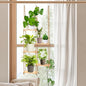 Novabright Window Hanging Plant Shelf with Wooden Shelves Macrame Rope Hanging Plant Stand with 3 S Hooks for Indoor Outdoor Bedroom Window Sill Balcony Boho Decor (Natural Wood Color,1 Pcs)