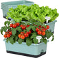 Window Box Planter 6 Pcs, 18 Inches Rectangle Flower Pots with Drainage Holes and Trays, Vegetable Planters for Windowsill Patio Garden Balcony Home Porch Yard Indoor Outdoor (Green, 18*10*6 inch)