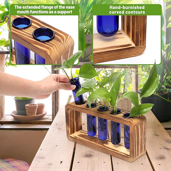 Terrarium Propagation Station with 5 Blue Glass Test Tubes, Pine Base