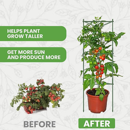 Tomato Cage - Large Trellis Stakes and Plant Support Structures for Vegetables and Climbing Plants - Tall Tomato Cages for Garden, Pots, Raised Garden Bed Outdoor Supplies (1 Pack - Up to 48")