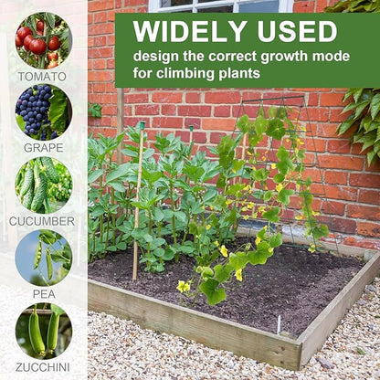 Cucumber Trellis for Raised Bed, Garden Trellis for Climbing Plants Outdoor with Climbing Net and Plant Support Clip for Cucumber, Vegetable, Flowers (18" W x 46" H-2pack)