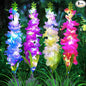 Solar Garden Lights, Solar Delphinium Flowers Lights 8 Pack 160 LEDs, Waterproof Outdoor Light Two Lighting Modes for Wedding Party Garden Yard Patio Lawn Decor and Gift for Mother