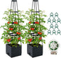 2 Pack Raised Garden Bed Planter Box with Trellis, 57'' Self Watering Tomato Planters for Climbing Plants, Tomato Cage Trellis for Vegetables & Vine Flowers Indoor Outdoor Patio