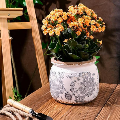 Flower Pot,Vintage Gray Ceramic Pot for Planter with Drainage Holes, 6.29 inch Ice Crack Glazed Small Rustic Planters Pot for Indoor,Tucan Home Decor,Gardening Gifts