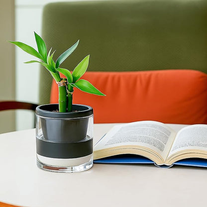 D'vine Dev 4 Inch Design Self Watering Planter for Indoor Plants, Black Terracotta Pot with Cylinder Glass Cup, 37-X-A-3