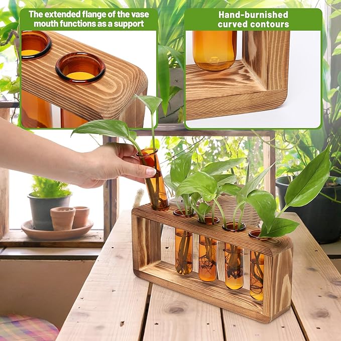 Terrarium Propagation Station with 5 Amber Glass Test Tubes and Pine Base