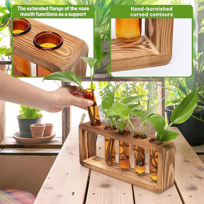 Terrarium Propagation Station with 5 Amber Glass Test Tubes and Pine Base