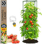 Tomato Cage Square - Large Trellis Stakes and Plant Support Structures for Vegetables and Climbing Plants - Tall Tomato Cages for Garden, Pots, Raised Garden Bed Outdoor Supplies (1 Pack - Up to 58")