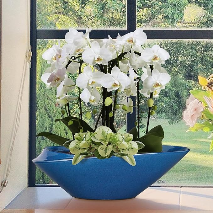Blue Ceramic Bonsai Planter, 18 Inch Indoor Pot with Drainage Hole