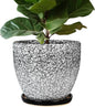 10 Inch Plant Pot - Ceramic Planter for Indoor Outdoor, Round Large Plant Pots, Modern Planter with Drainage Hole and Tray, Home Room Office Garden Decor, Gifts for Women Men, White-Black