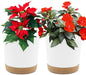 QCQHDU 6.5 inch Plant Pot, 2 Pack Planters for Indoor Plants with Drainage Holes & Saucer, Outdoor Flower Pots Home Garden Modern Decor